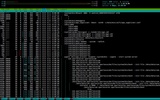 Terminal IDE screenshot 2