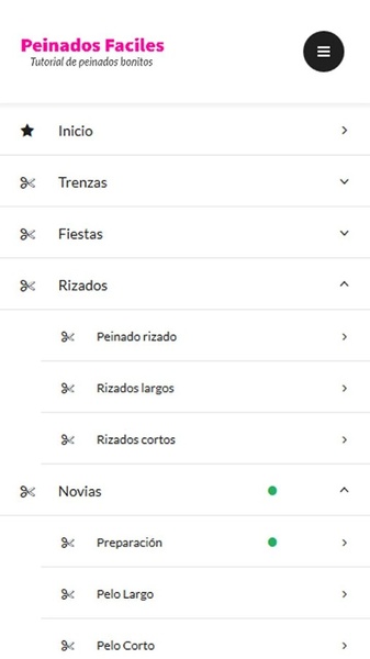 Peinados Faciles y sencillos - Preview 2