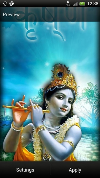 Krishna Live Wallpaper - Preview 5