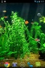 Fish Tank HD screenshot 5