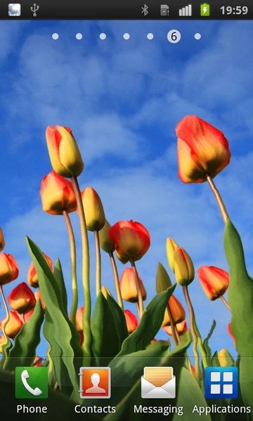 Flowers Reflection Free - Preview 2