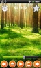 Звуки леса screenshot 1