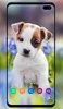 Puppy Wallpaper screenshot 4