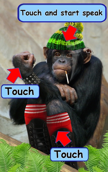 Angry Talking Monkey - Preview 8