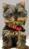 Yorkshire Terriers Wallpapers screenshot 5