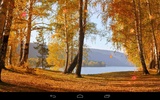 Autumn Wallpaper screenshot 8