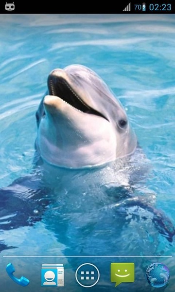 Magic Ripple Cute Dolphin - Preview 2