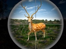 Deer Hunting Games Wild Animal screenshot 1