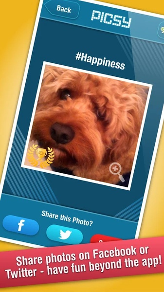 Picsy - Preview 1
