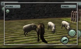 Wild Wolf Attack Simulator 3D screenshot 3
