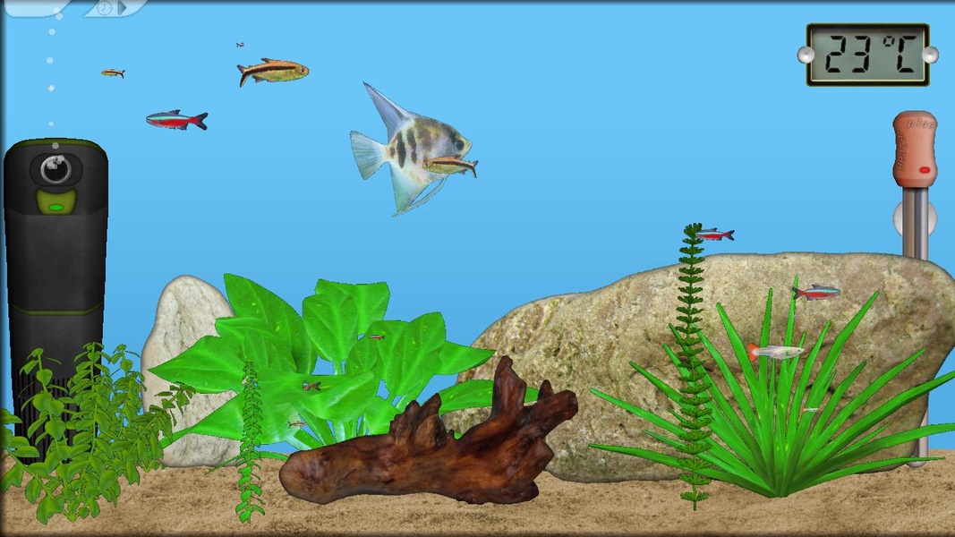 Aquarium Fish - Preview 4