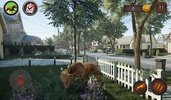 Dachshund Dog Simulator screenshot 11