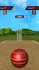 Flick Cricket 3D screenshot 5