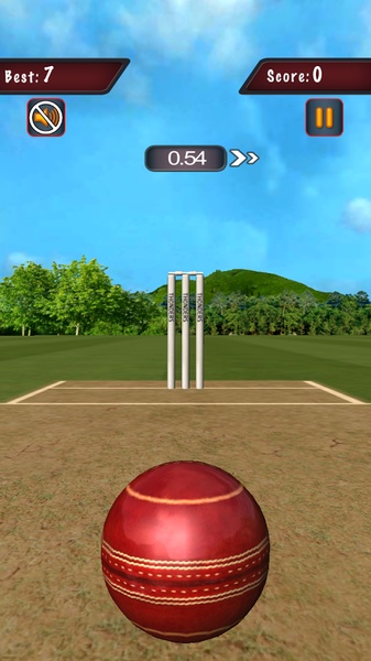 Flick Cricket 3D - Preview 5