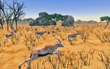 Deer Hunter Africa screenshot 6