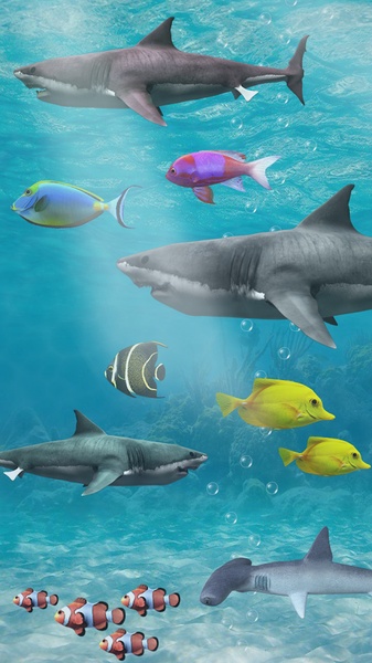 Shark aquarium - Preview 4