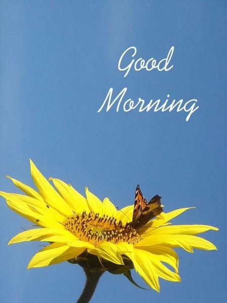 Good Morning Images - Preview 6