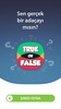 True or False Quiz screenshot 5