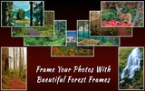 Forest Frames screenshot 2