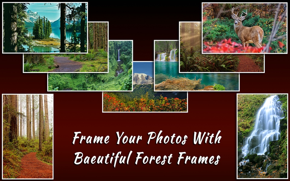 Forest Frames - Preview 2
