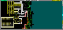 Dwarf Fortress screenshot 5