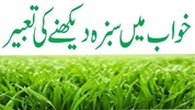 Khwabon Ki Tabeer (خوابوں کی تعبیر) screenshot 1