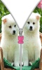 Cute Puppy Zip Screen Lock screenshot 4