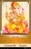 Ganesh Aarti: Jai Ganesh Deva screenshot 4