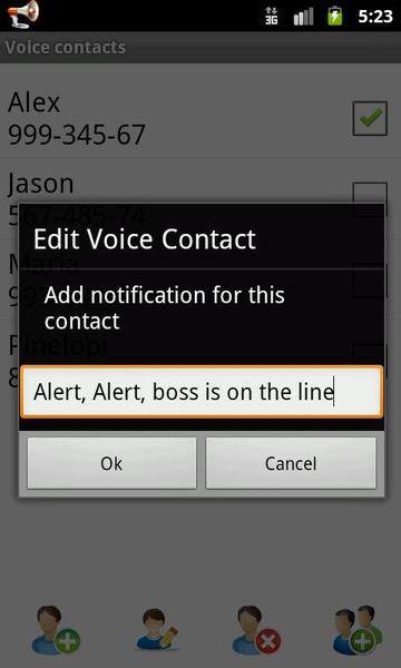 Voice Caller Id+SMS Lite - Preview 1