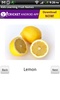 Kids Learning Fruit Names screenshot 2