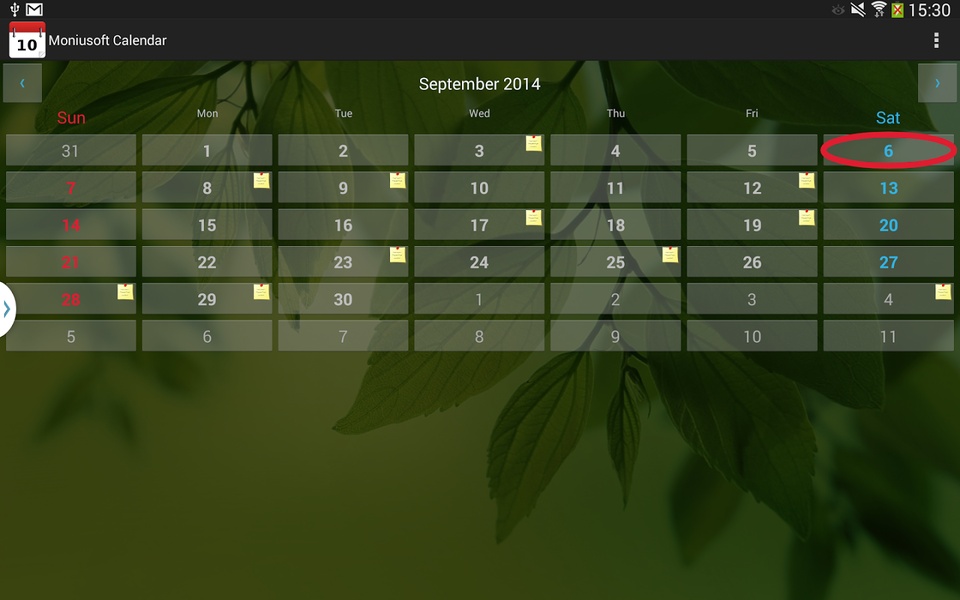 Moniusoft Calendar - Preview 12