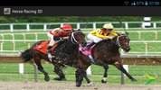 Horse Racing screenshot 4