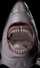Great White Shark Prank Call screenshot 1