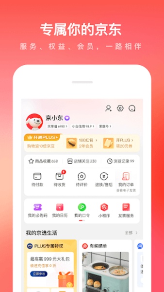 Jingdong - Preview 7