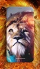 Lion Wallpaper screenshot 3