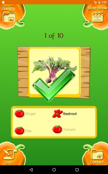 Vegetable Book - Preview 3