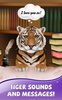 Tigre Mignon Fond décran screenshot 1