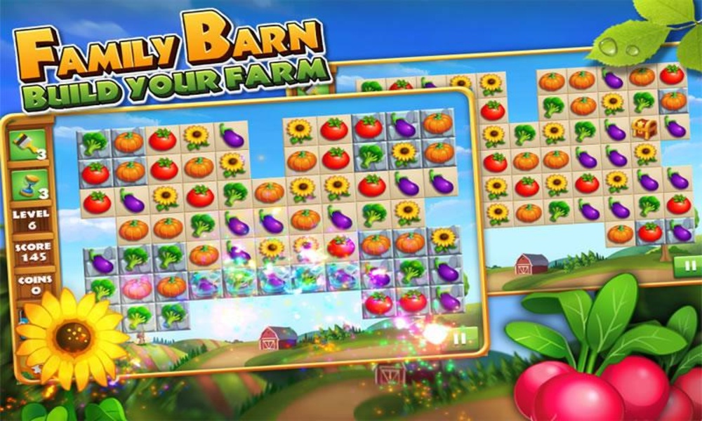 Family Barn - Preview 9