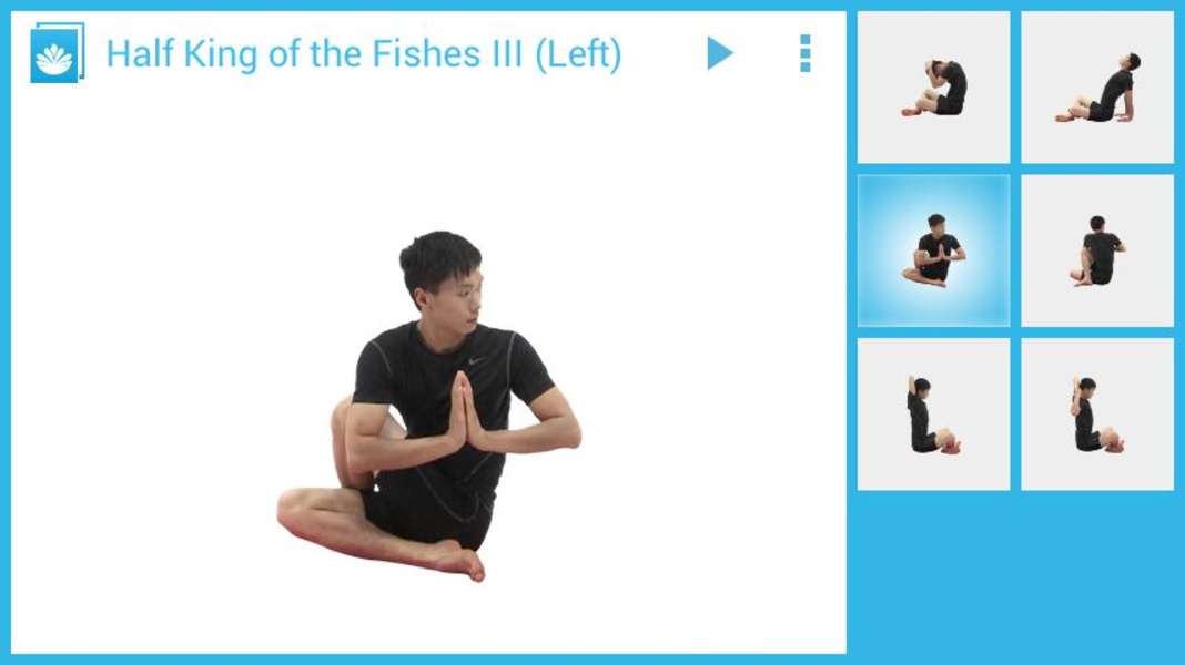 Yoga Sequence for Beginners (Plugin) - Preview 2