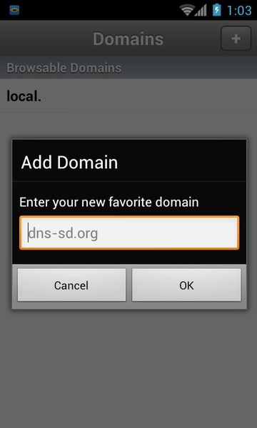 Bonjour Browser - Preview 4