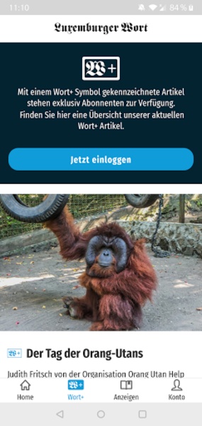 Wort - Preview 13