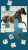 Cavalli Giochi Di Puzzle screenshot 2