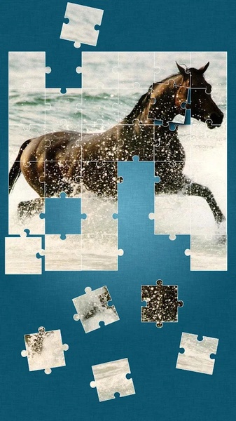 Horses Jigsaw Puzzle Game - Preview 2