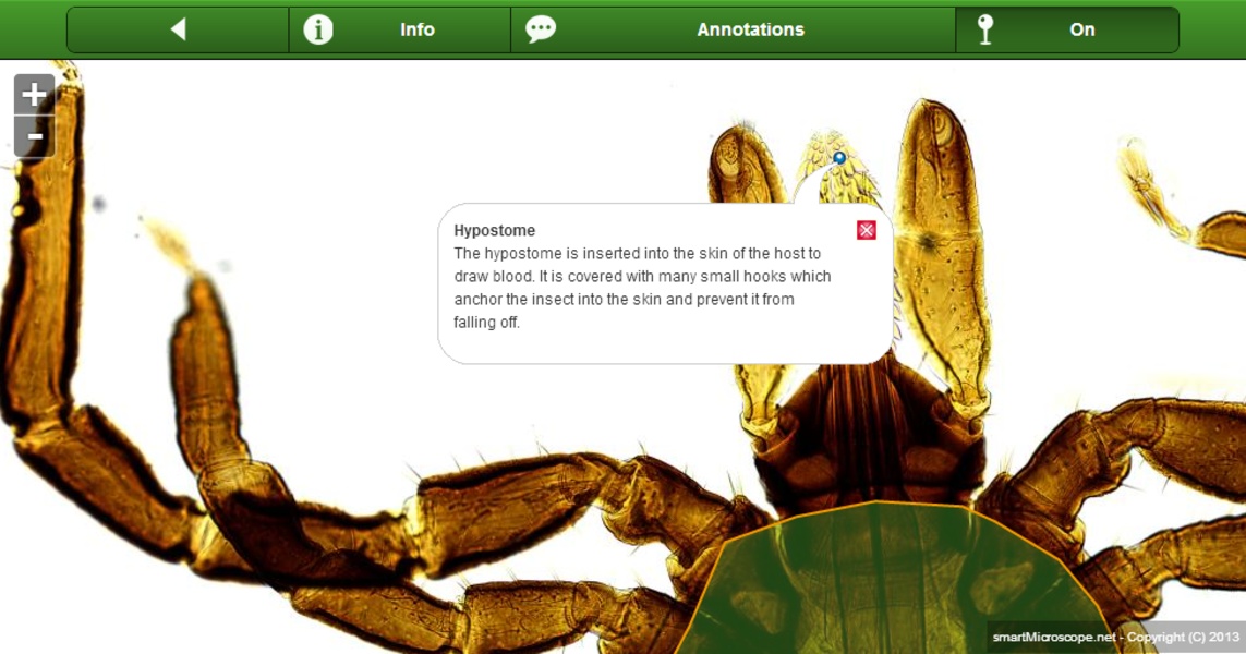 smart Microscope Lite - Preview 4