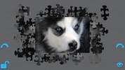 Puppies Puzzle HD screenshot 6