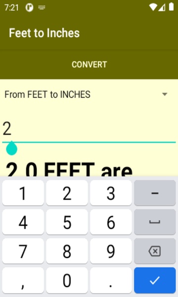 Feet to Inches converter - Preview 4