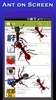 Ants on screen screenshot 3