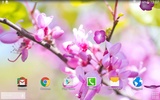 Sakura Garden Live Wallpaper screenshot 3