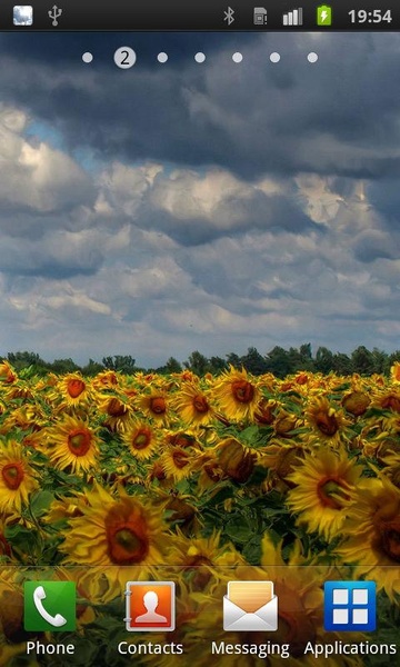 Flowers Reflection Free - Preview 4