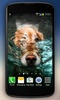 Dogs Underwater Live Wallpaper screenshot 4